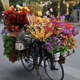 Andrea Freitas Moreira Pinto