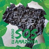 Veronica Fatima Correa