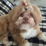 Marcia Regina de Oliveira