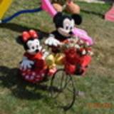 SABRINA DE CÁSSIA ASSUNÇÃO