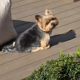 Juliana Trench Ciampone