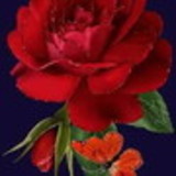 ARTESANATOS ROSA VERMELHA