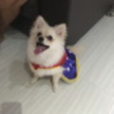 Claudia Pereira Rodrigues