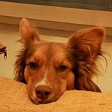 Fernanda Ávila de Paula