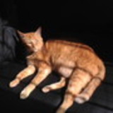 Juliana da Silva Barros