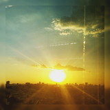 Aline Weishaupt Viana