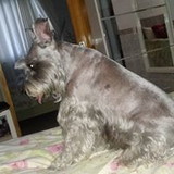 Vanda Lucia de Sousa