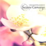 Caixas Personalizadas by Suzane Camargo