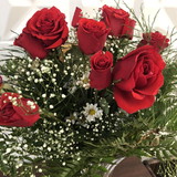 Maria Tereza Sutti Lopes Costa Reis