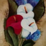 Juliete Martins Ribeiro