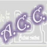 Danieli Cristina de Almeida