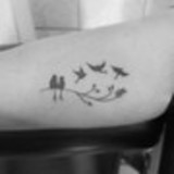 Janilce Costa Carvalho