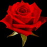 Jane Zélia Ferreira Gomes