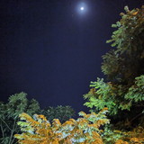 Evelin Bruna de Oliveira