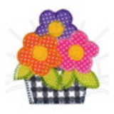 cassia aparecida neves