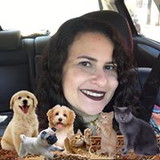 Rita De Cássia Santana Barbosa