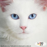 Elza Aparecida de Andrade