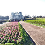 Claudia Cristina Teixeira