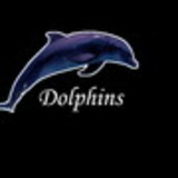 dolphins island
