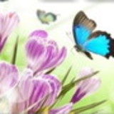 excluido_Renata Presentes e Artesanatos