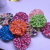 Vania P. Gazabini Siviero