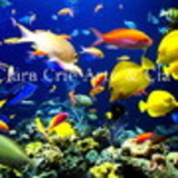 excluido_Clara Crie Arte & Cia