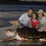 Carolina Barreto Andreoli