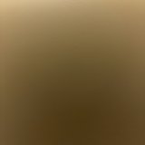 tarcilaine ambrosio wensing