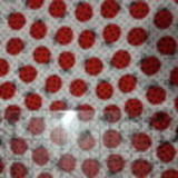 FERNANDA ANDRE DA SILVA