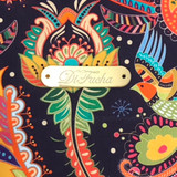 Alessandra Braga da silva