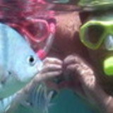 Fernanda Fernandes Mesquita