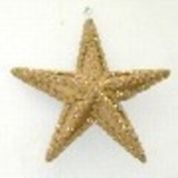 valdene felipe dos santos