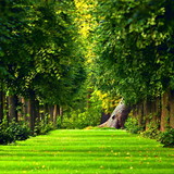 Cibelle Mocelin Barbosa