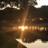 Andrea Rigo de Oliveira