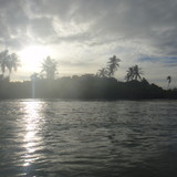 Aline Machado Azambuja