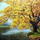 Maria Jerusa Schechtel