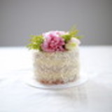 ISABELA P. L. ARAUJO