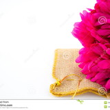 Andreia Siqueira Lingner