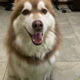 Ana Paula de Souza e Oliveira