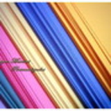 Monique Bottazinni Martins de Faria