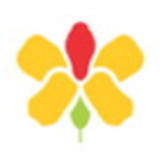 Renata Maria Paes Barretto Machado