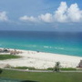 JULIA TIEKO FUJIMOTO