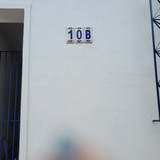 bruna wells damato Ferreira