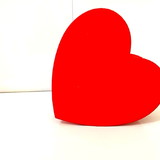 Samara Cristina dos Santos