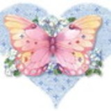 excluido_Aline PN Lopreto