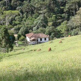 Flaviane Maria Tostes