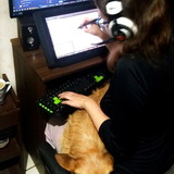 Ir para o perfil do usuário