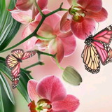 Valéria Aparecida Roque de Oliveira