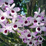 Izilda Maria Sanchez de Sousa