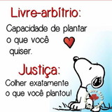 Marlene de Castro Ferreira Mattos